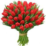 Букет 49 красных тюльпанов